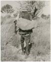 Headman walking, carrying a gun, a spear and a bundle, view from behind (print is a cropped image)