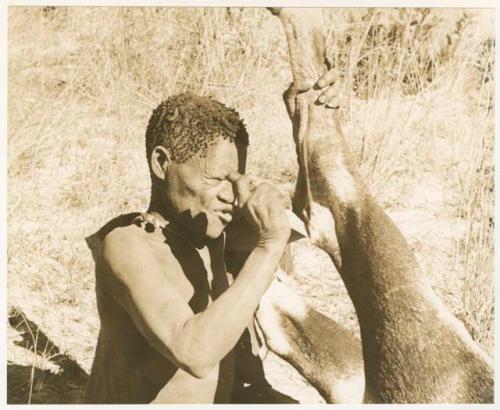 Oukwane skinning the gemsbok leg (print is a cropped image)