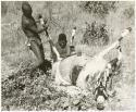 Oukwane and !Gai skinning the gemsbok (print is a cropped image)