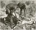 Oukwane and !Gai skinning a gemsbok (print is a cropped image)