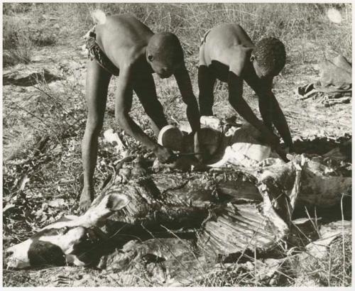 Oukwane and !Gai cutting up a gemsbok (print is a cropped image)