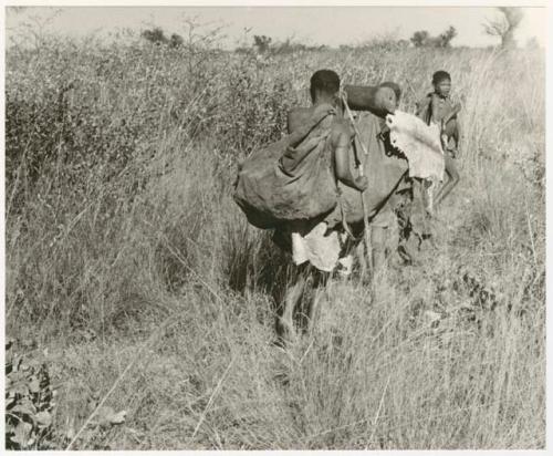 Tsekue, /Twikwe, and DaSi!na carrying tsama melons and a log, seen from behind (print is a cropped image)