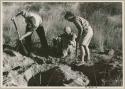 Elizabeth Marshall Thomas and John Marshall digging; another expedition member sitting