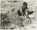 Oukwane squeezing the stomach contents of the gemsbok (print is a cropped image)