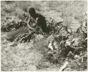 Oukwane squeezing the stomach contents of the gemsbok (print is a cropped image)