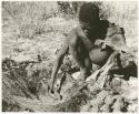 Oukwane scooping liquid out of hollow in the ground to pour into empty gemsbok stomach (print is a cropped image)