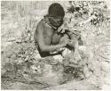 Oukwane scooping liquid out of hollow in the ground to pour into empty gemsbok stomach (print is a cropped image)