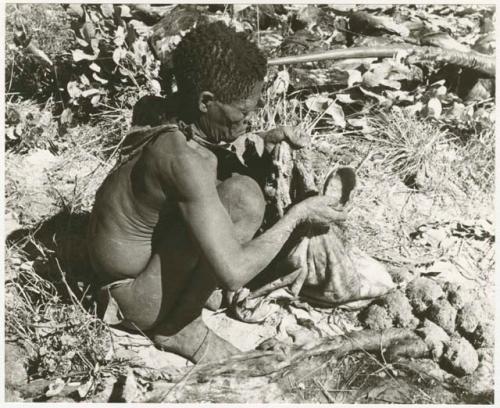 Oukwane scooping liquid out of hollow in the ground to pour into empty gemsbok stomach (print is a cropped image)