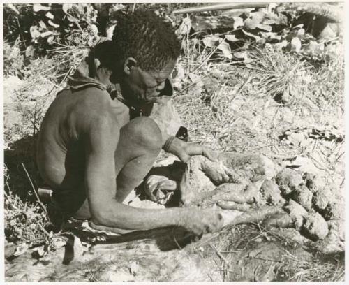 Oukwane scooping liquid out of hollow in the ground to pour into empty gemsbok stomach (print is a cropped image)