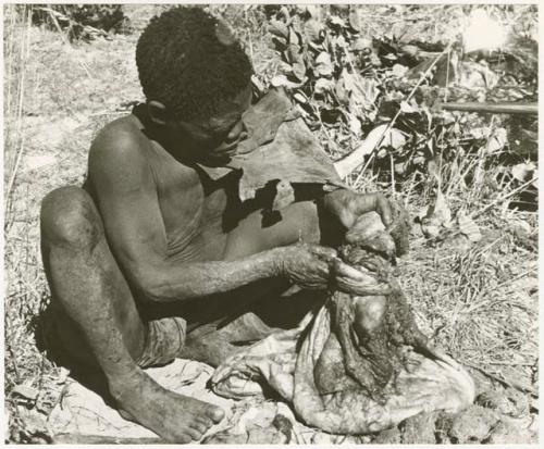 Oukwane holding the gemsbok stomach bag partly filled (print is a cropped image)