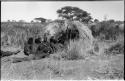 Group of Ju/'hoansi telling stories including "Lame ≠Gao," ≠Gao (Khwo//o-/Gasa's husband), "Gao Medicine," an unidentified person, ≠Toma, !Naishi, "Old Xama," "Gao Helmet," "Old Demi" lying down, Crooked /Qui, Gao (Debe's son, Zuma's husband), and ≠Toma (!Naishi's son)