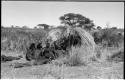 Group of Ju/'hoansi telling stories including "Lame ≠Gao," ≠Gao (Khwo//o-/Gasa's husband), "Gao Medicine," an unidentified person, ≠Toma, !Naishi, "Old Xama," "Gao Helmet," "Old Demi" lying down, Crooked /Qui, Gao (Debe's son, Zuma's husband), and ≠Toma (!Naishi's son)