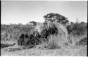 Group of Ju/'hoansi telling stories including "Lame ≠Gao," ≠Gao (Khwo//o-/Gasa's husband), "Gao Medicine," an unidentified person, ≠Toma, !Naishi, "Old Xama," "Gao Helmet," "Old Demi" lying down, Crooked /Qui, Gao (Debe's son, Zuma's husband), and ≠Toma (!Naishi's son)