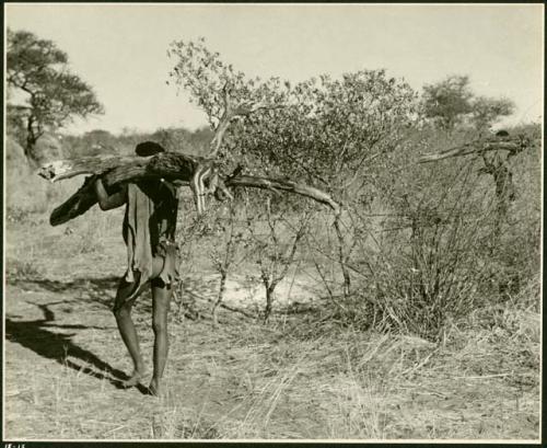 Man carrying wood, seen from the back