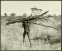 Man carrying wood, seen from the back