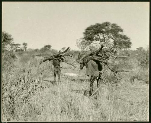 Two men carrying wood, seen from the back