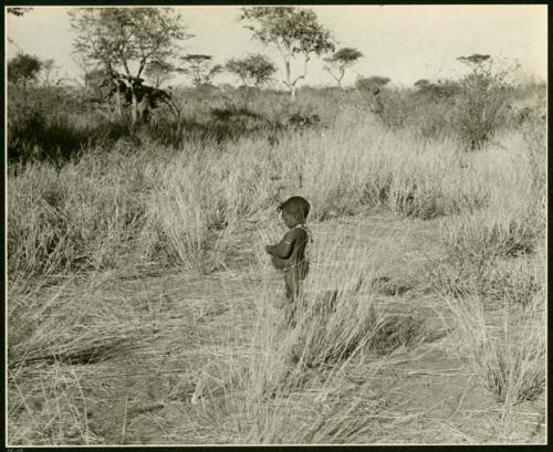 Child standing in grass