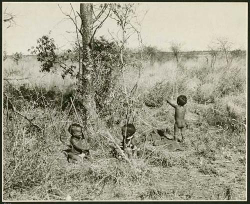 Three children playing gathering veldkos (print is a cropped image)