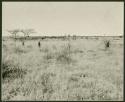 Village and people in the grass, distant view