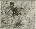 Girl picking up tsĩ seed, side view