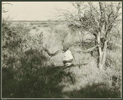 Expedition member carrying wood