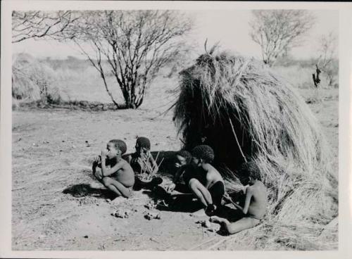 Group of children in front of skerm, with toy autos made of veldkos
