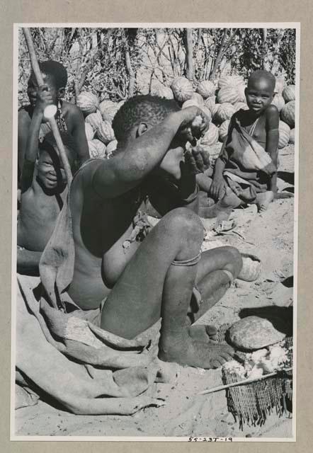 Woman squeezing a handful of pulp from the water root up to her mouth to drink