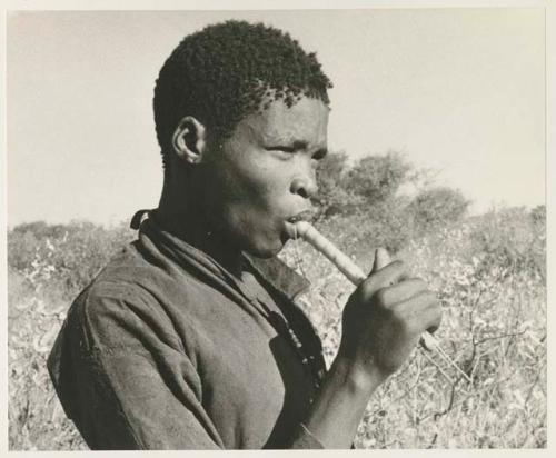 Boy eating root

