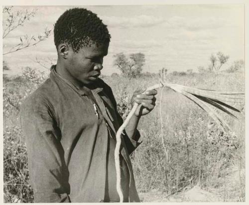 Boy holding plant with long root

