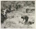 Expedition members clearing camp site
