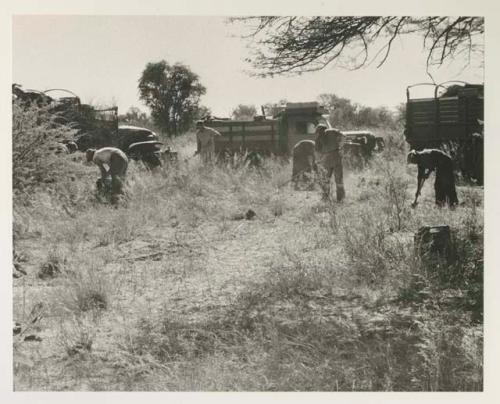 Expedition members clearing camp site
