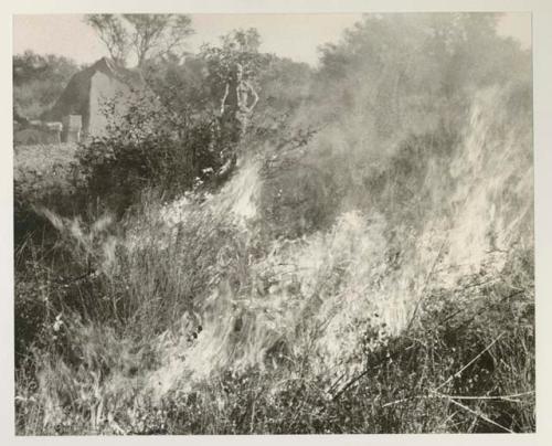 Two expedition members setting a backfire to protect the camp from approaching brush fire
