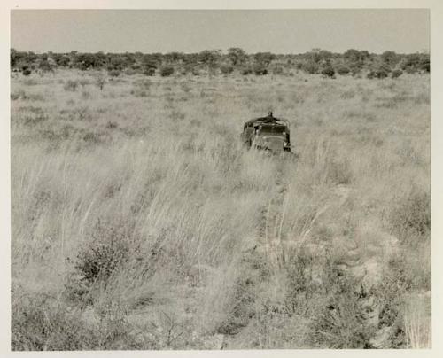 View of the Okwa Omuramba; expedition trucks in distance