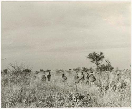 Group of people returning from gathering tsama melons, distant view (print is a cropped image)