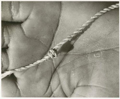 Person's hand holding up cord with a knot, close-up (print is a cropped image)