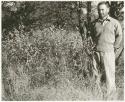 Robert Story standing in the brush (print is a cropped image)