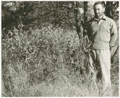 Robert Story standing in the brush (print is a cropped image)