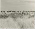 /Twikwe and two children in a patch of cleared ground (print is a cropped image)