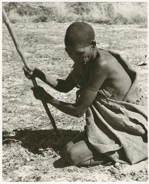 /Twikwe clearing ground with a digging stick (print is a cropped image)