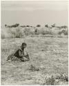 /Twikwe clearing ground with a digging stick, distant view (print is a cropped image)