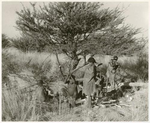 Group of people sitting and standing under a tree, settling in a new werft (print is a cropped image)