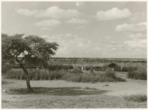 Group of people standing in a kraal, distant view (print is a cropped image)