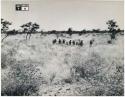 [No folder title]: Group of people gathering, seen from a distance (print is a cropped image)