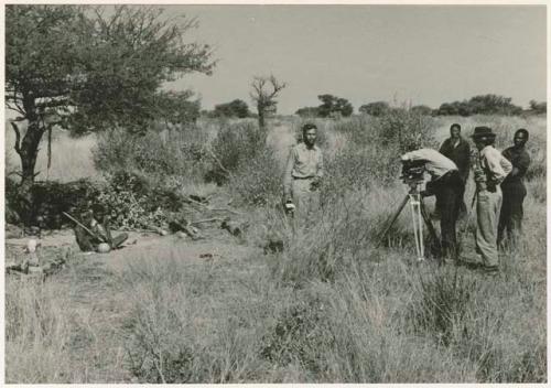 Person opening and tsama melon with a digging stick and being filmed by John Marshall, with Dabe, Ledimo and Lorna Marshall watching (print is a cropped image)