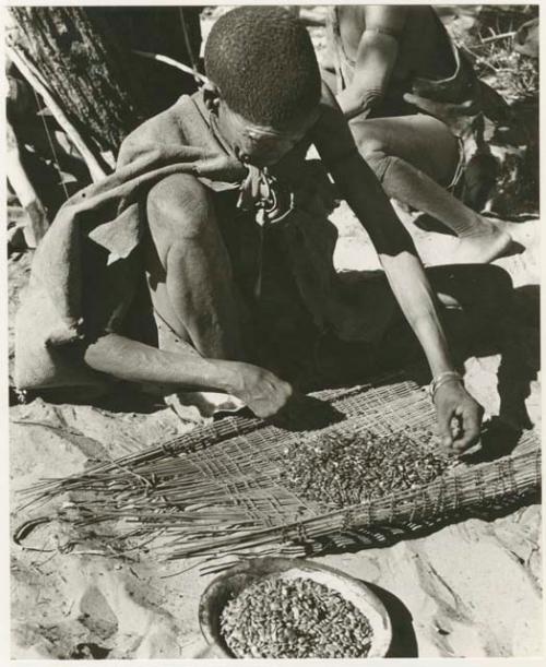 /Twikwe pouring tsama melon seeds from a rind onto her sieve, DaSi!Na sitting beside her (print is a cropped image)