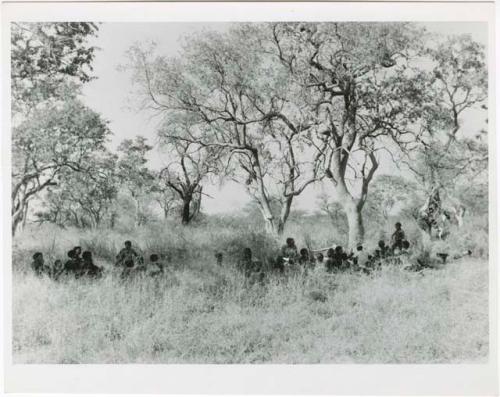 "Gao Medicine extended family, Band 1": Groups of people sitting under trees