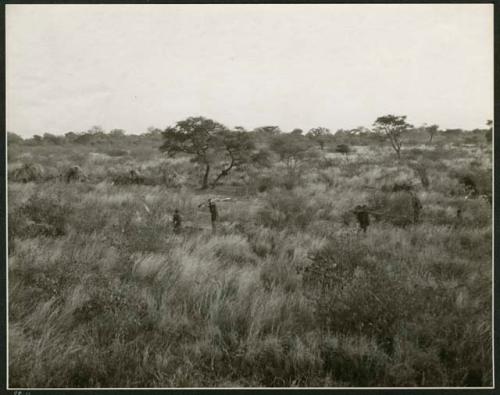 [No folder title]: People returning to the werft with wood, showing the central tree and the cleared places where dances take place, distant view (print is a cropped image)