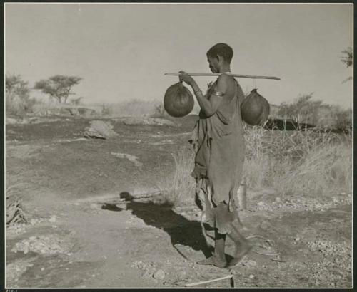 [No folder title]: Woman carrying two water bags made from animal stomachs on a digging stick on her shoulder (print is a cropped image)