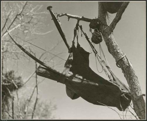 [No folder title]: Hunting bag, knife and other possessions hung in a tree (print is a cropped image)