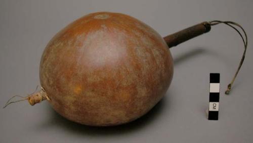 Gourd rattle